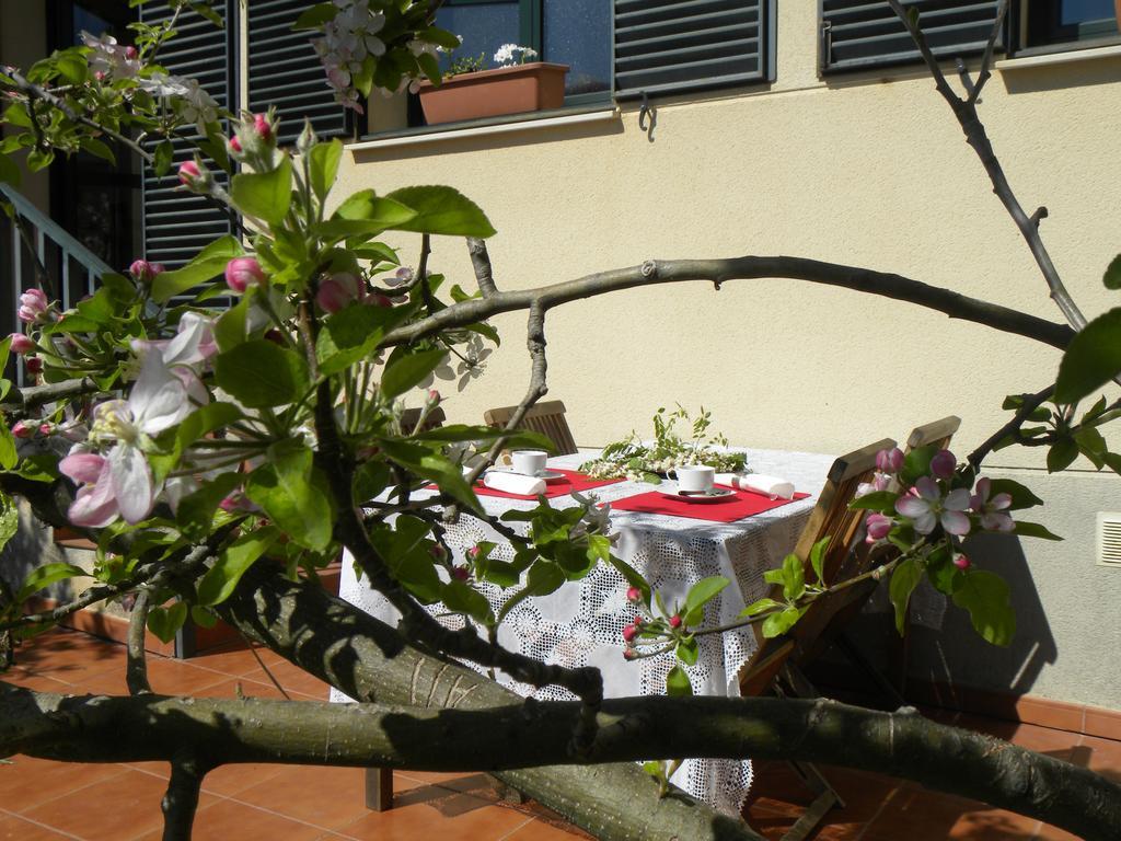 El Jardin De Los Gatos Apartament Caces エクステリア 写真